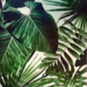 Meet your Posher, Margot